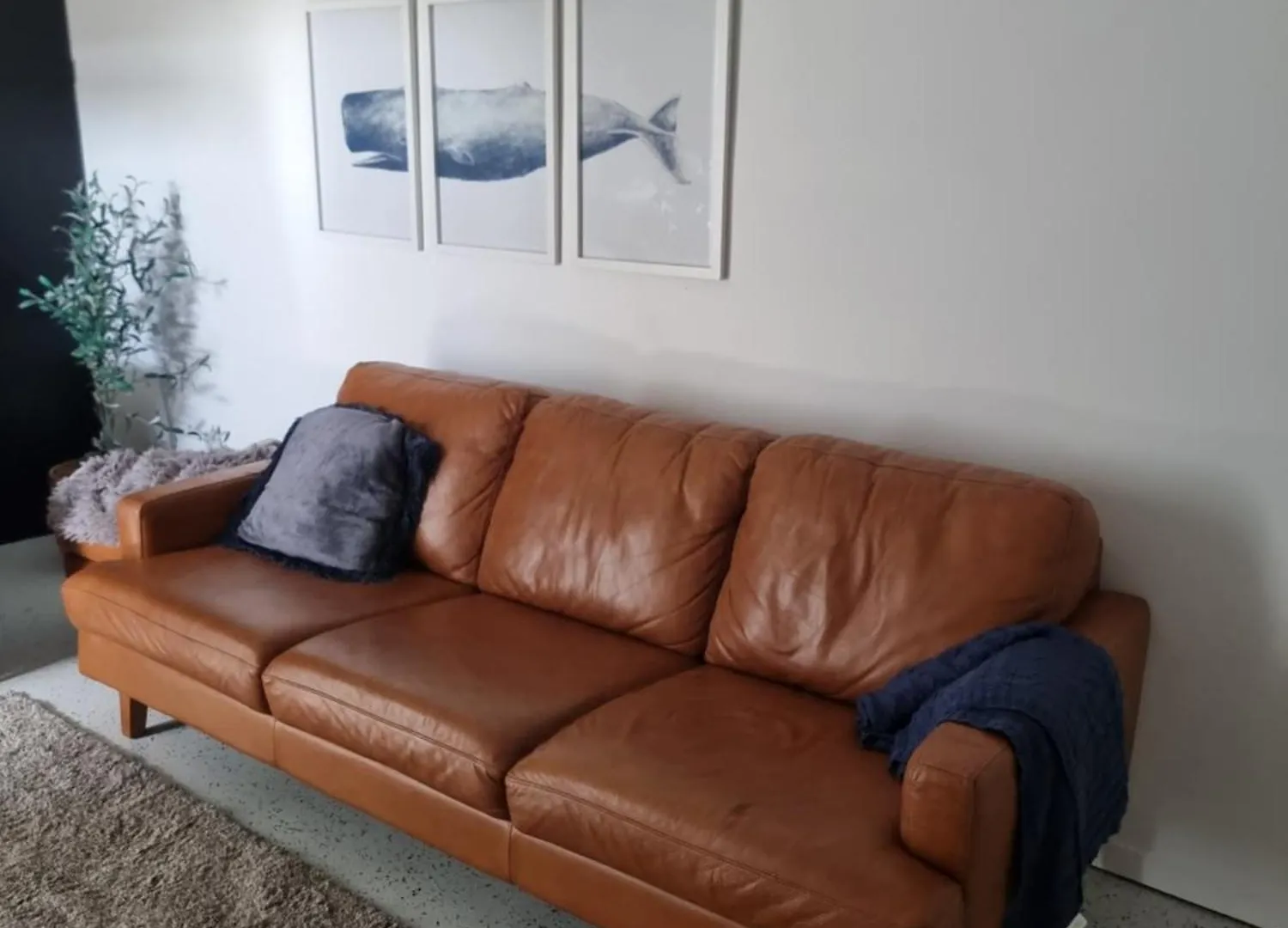 Retreat With Horse Stable Views Daire Redcliffe