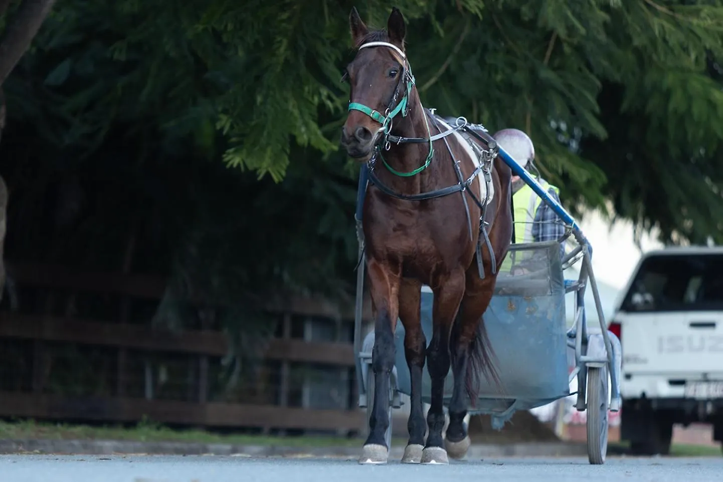 Retreat With Horse Stable Views Daire Redcliffe 0*,